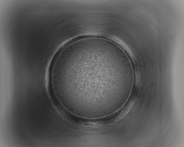 X0000102460580200808151409