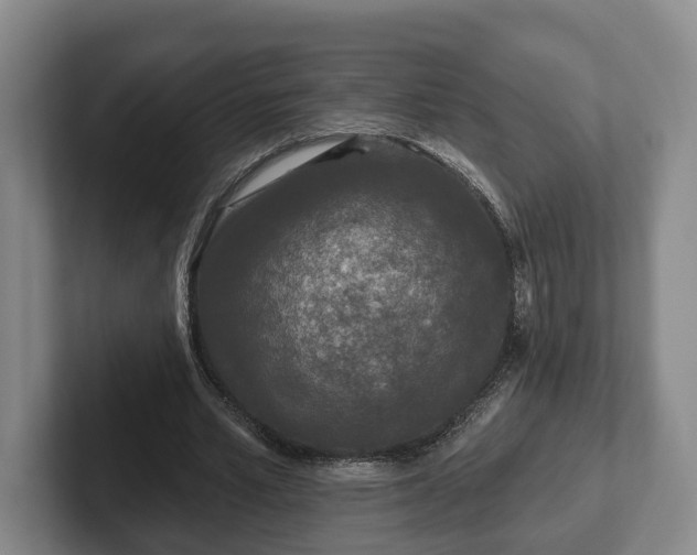 X0000102460581200808151409