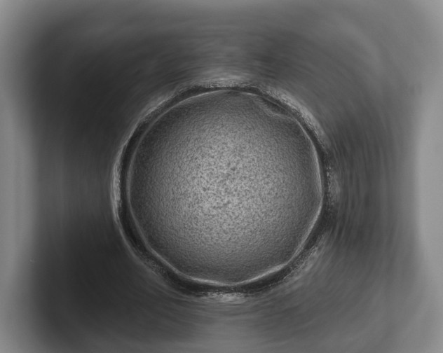 X0000102460582200808151409