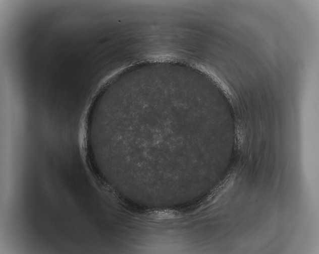 X0000102460583200808151409