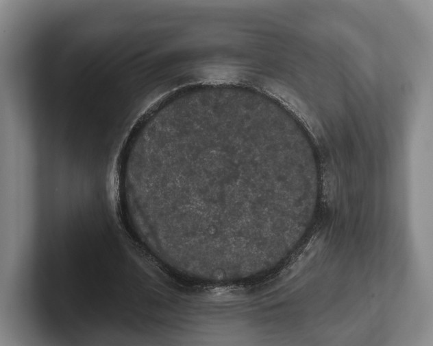 X0000102460584200808151409