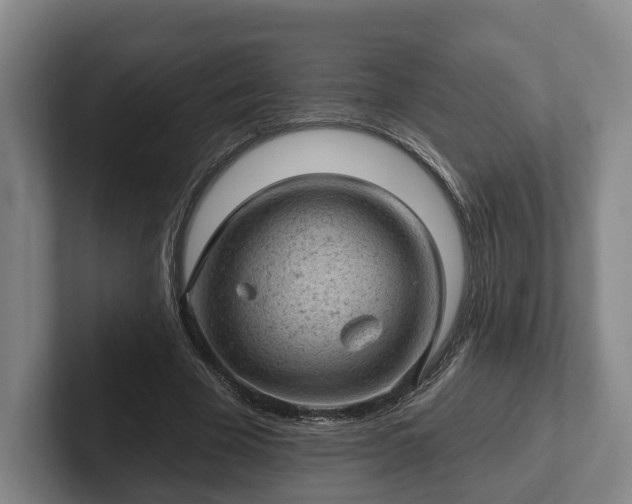 X0000102460585200808151409