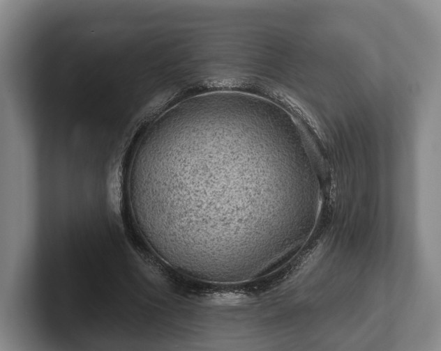 X0000102460586200808151409