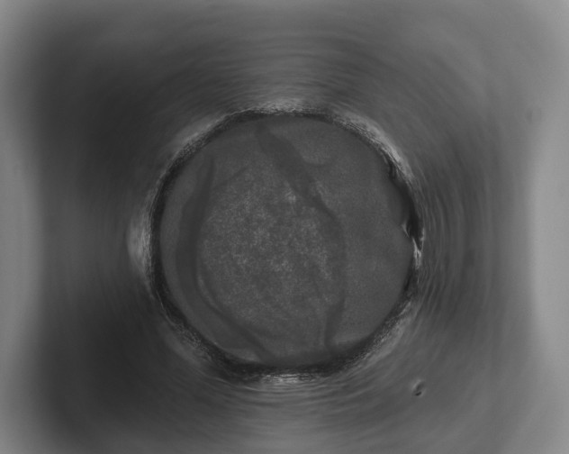 X0000102460588200808151409