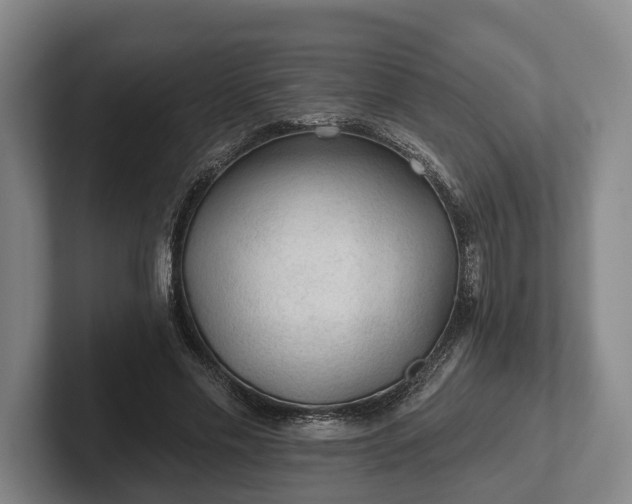 X0000102460589200808151409