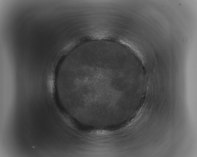 X0000102460590200808151409