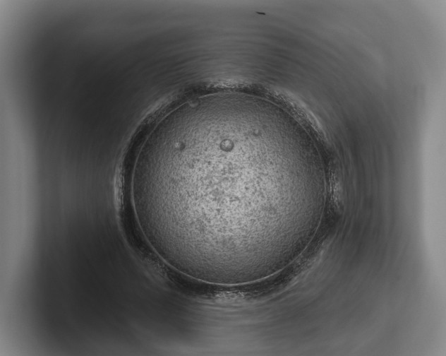 X0000102460591200808151409