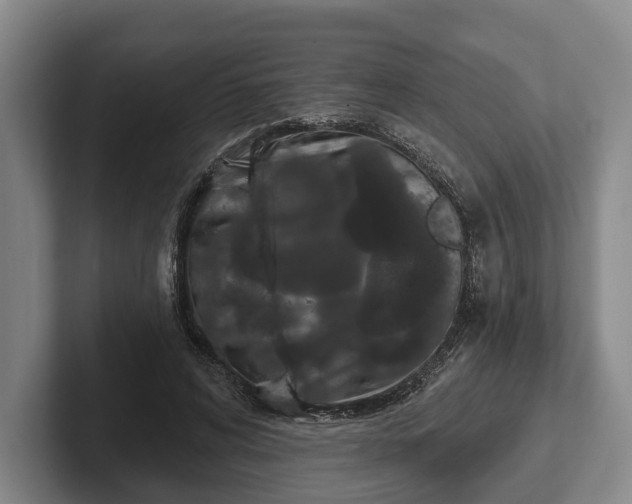 X0000102460592200808151409