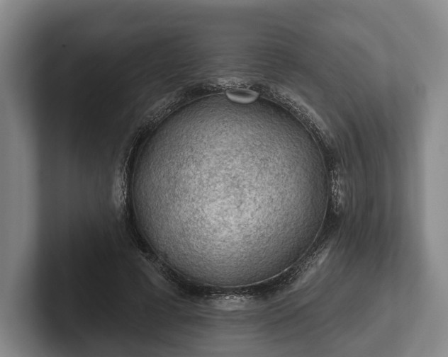 X0000102460593200808151409