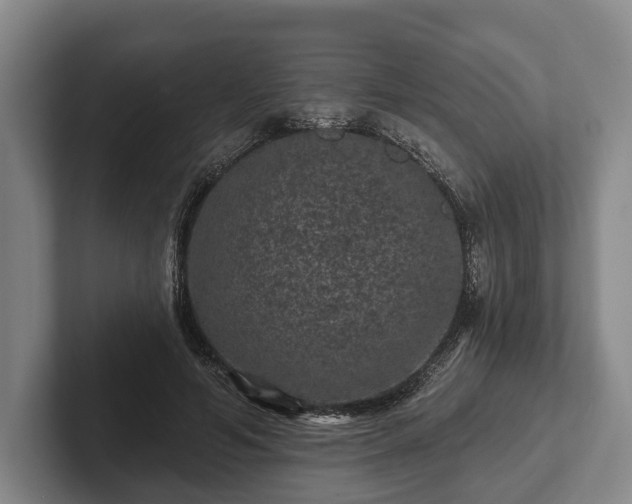 X0000102460594200808151409