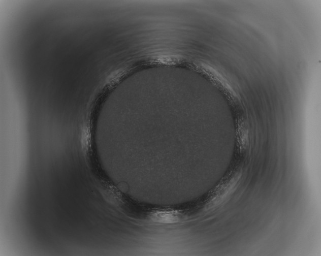 X0000102460595200808151409