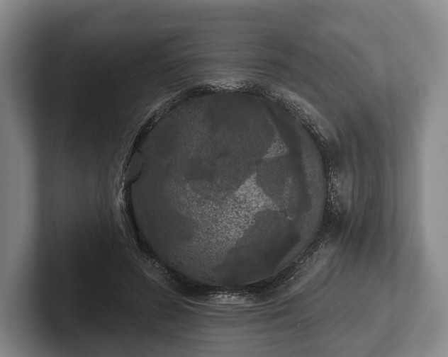 X0000102460596200808151409