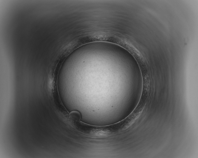 X0000102460597200808151409