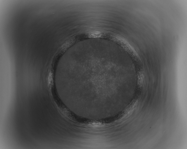 X0000102460598200808151409