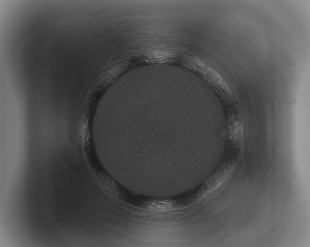 X0000102460599200808151409