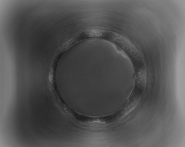 X0000102460600200808151409