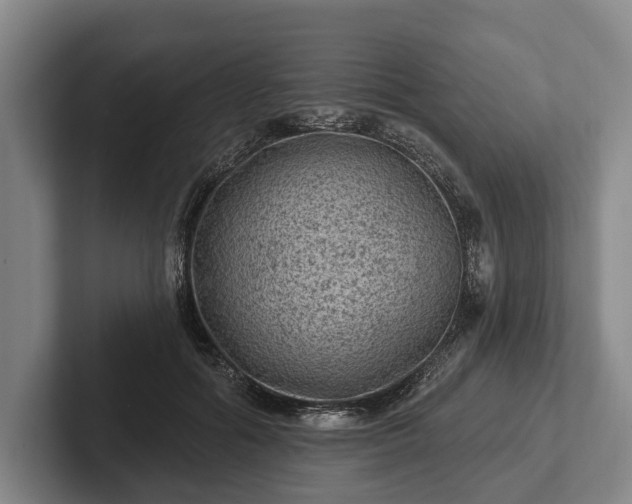 X0000102460602200808151409