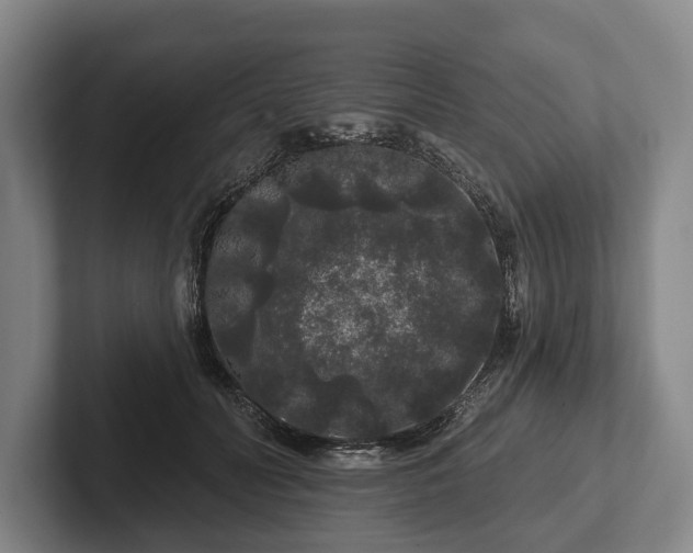 X0000102460606200808151409