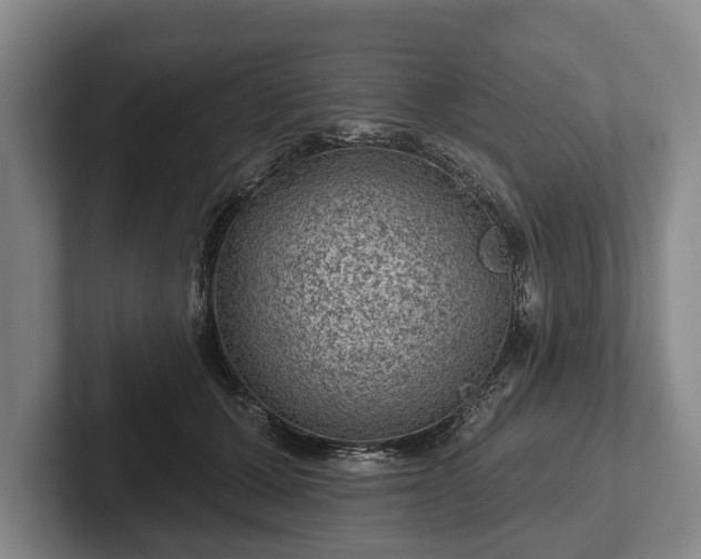 X0000102460607200808151409