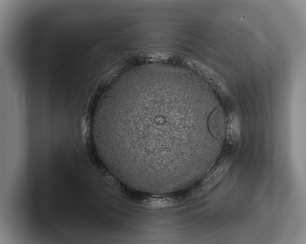 X0000102460608200808151409