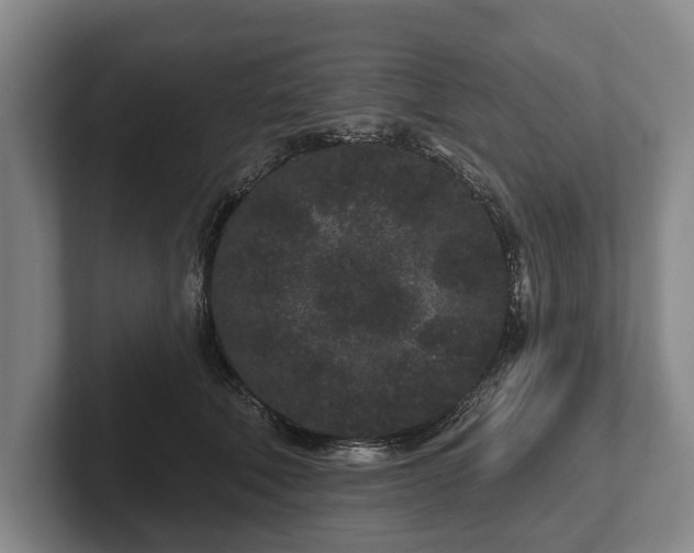 X0000102460610200808151409