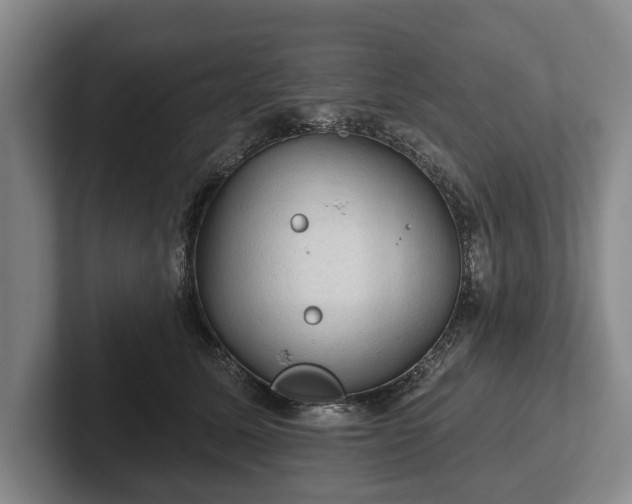 X0000102460611200808151409