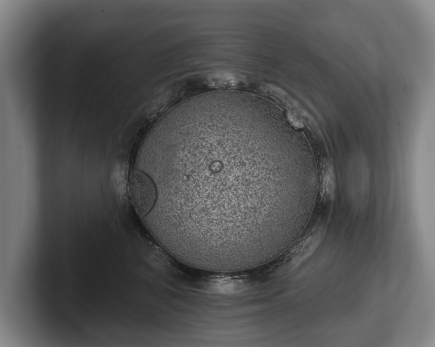 X0000102460616200808151408