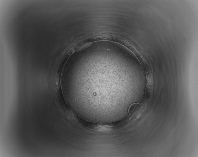 X0000102460617200808151408