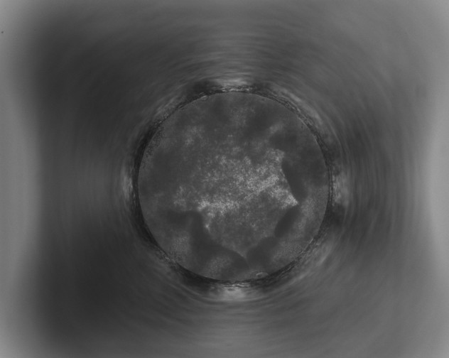 X0000102460618200808151408