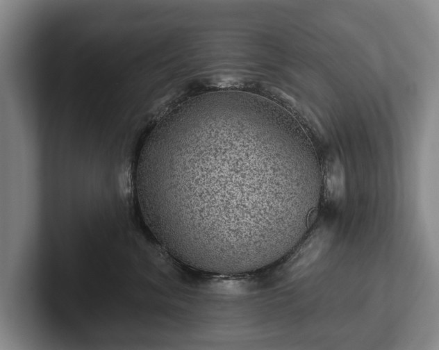 X0000102460620200808151408