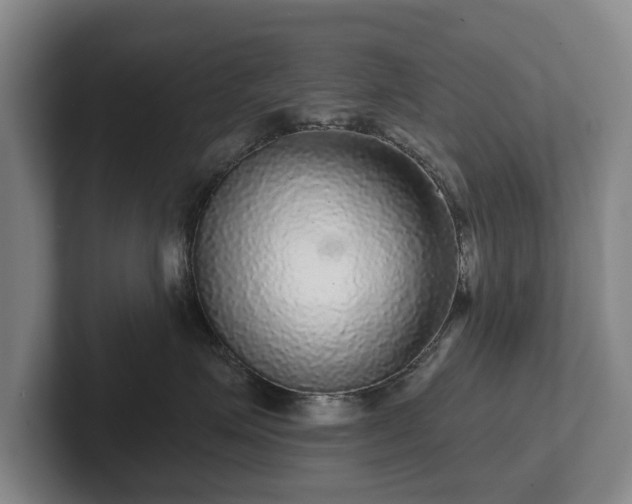 X0000102460623200808151408