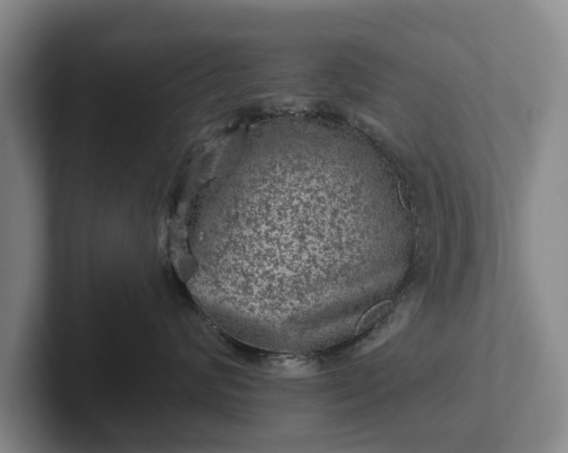 X0000102460624200808151408