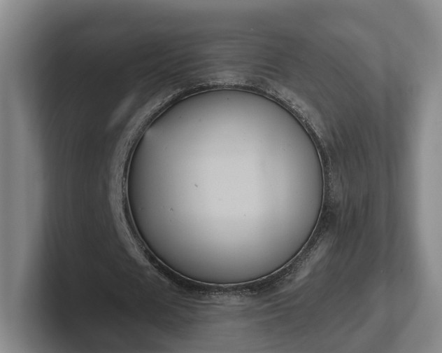 X0000102460625200808151408