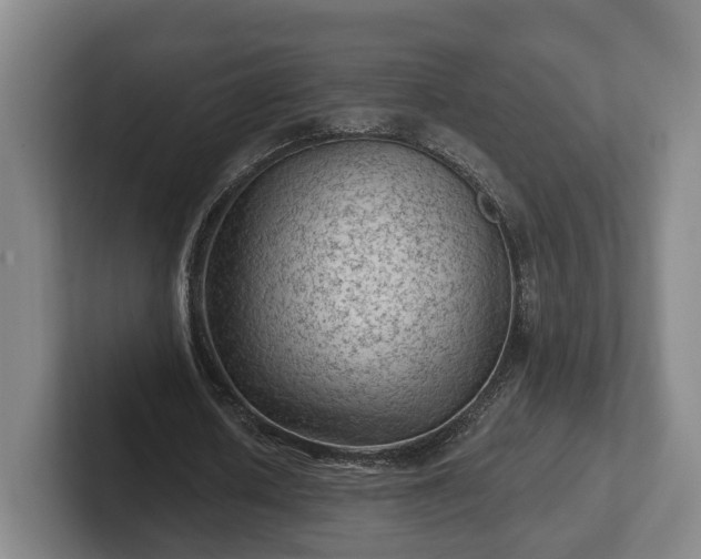 X0000102460626200808151408