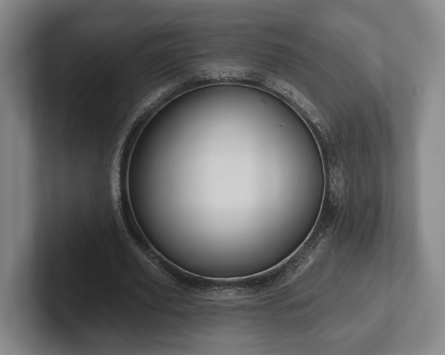 X0000102460629200808151408