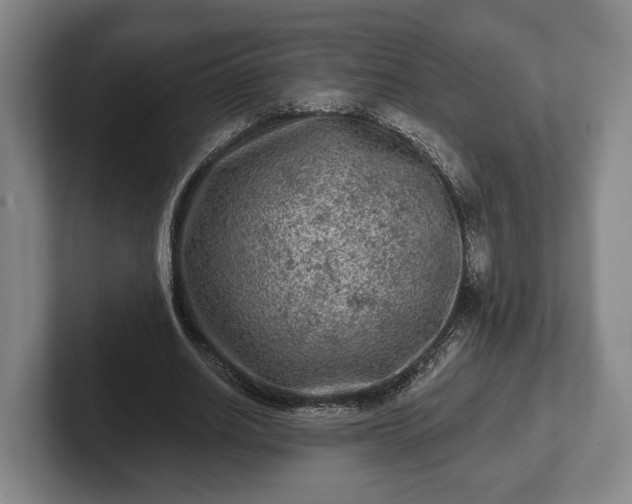 X0000102460630200808151408