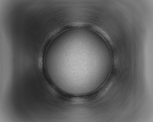 X0000102460633200808151408