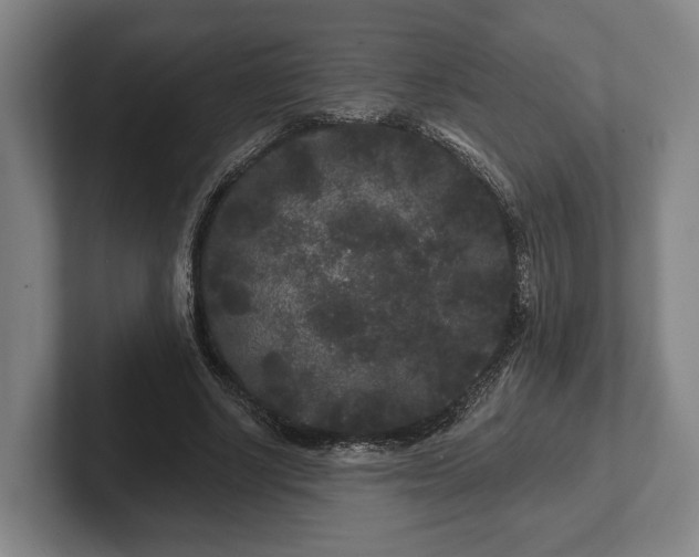 X0000102460634200808151408