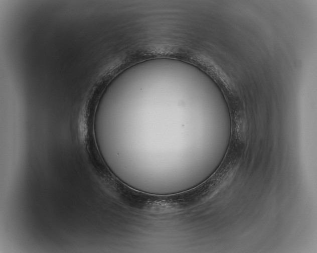 X0000102460635200808151408