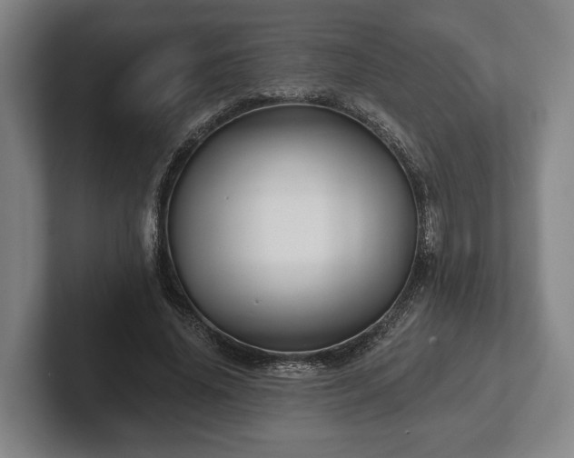 X0000102460636200808151408