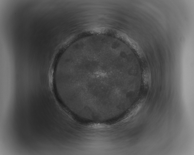 X0000102460637200808151408