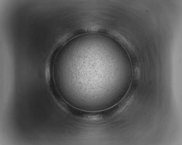 X0000102460638200808151408