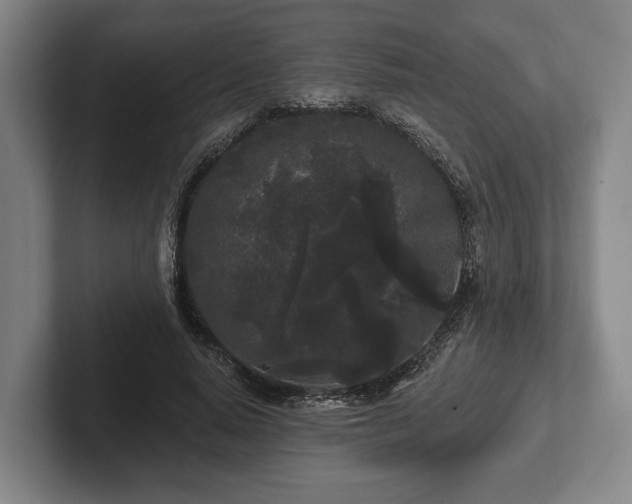 X0000102460640200808151408