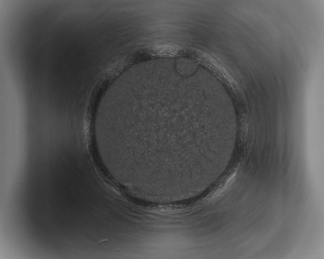 X0000102460641200808151408