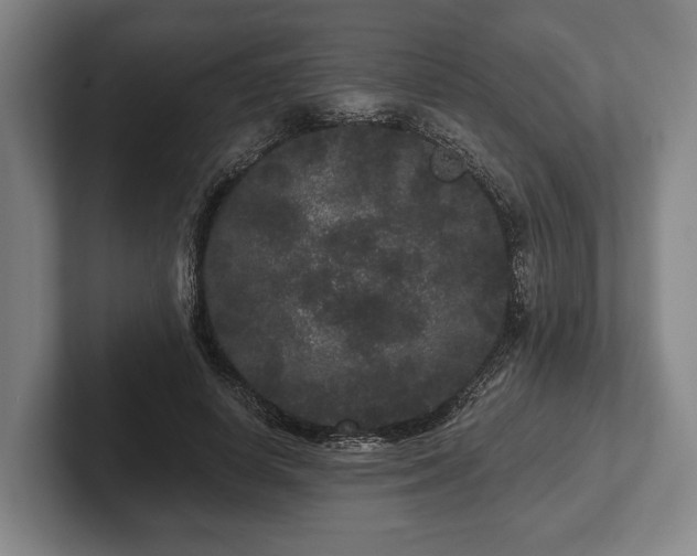 X0000102460642200808151408