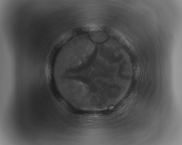 X0000102460643200808151408