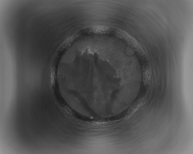 X0000102460644200808151408