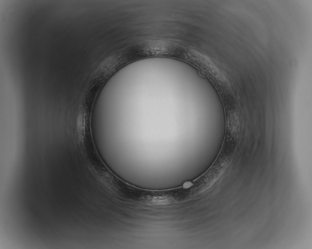 X0000102460645200808151408