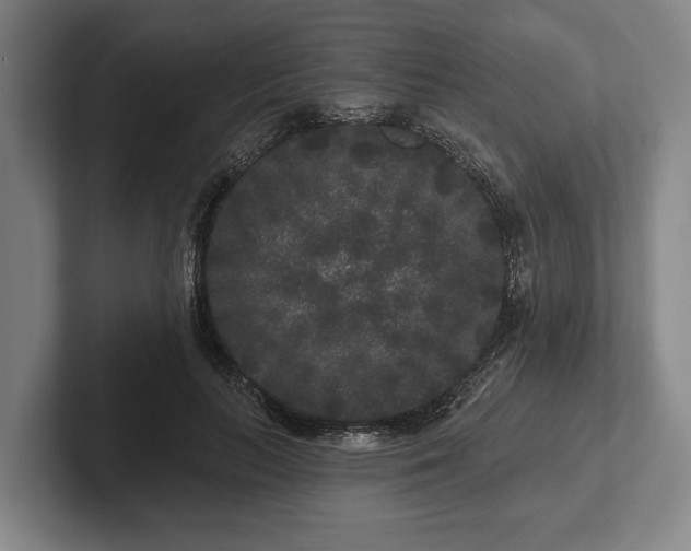 X0000102460647200808151408