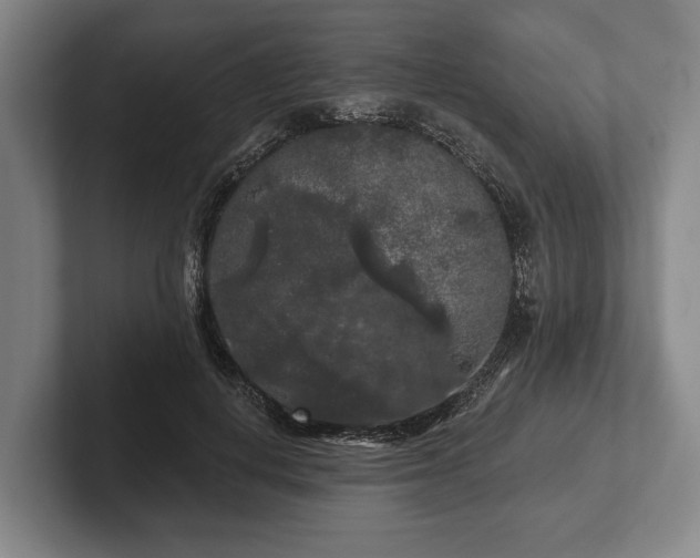 X0000102460648200808151408